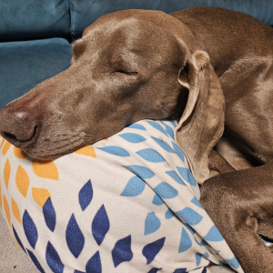 Milow